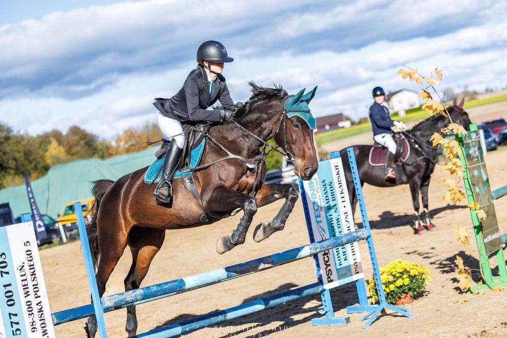 Klacz sp po Maaiku 10 lat do sport