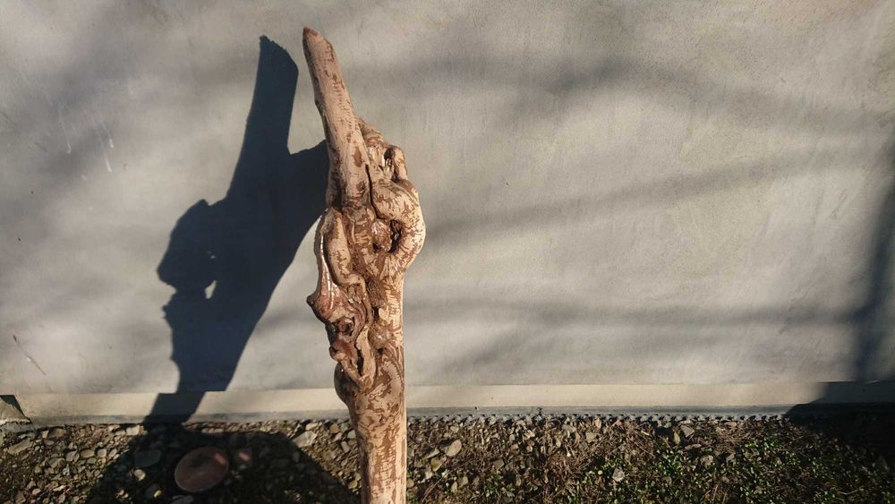 *Wyjątkowy Konar Rzeźba, Unikatowe Dzieło, Suuper Ozdoba &^^