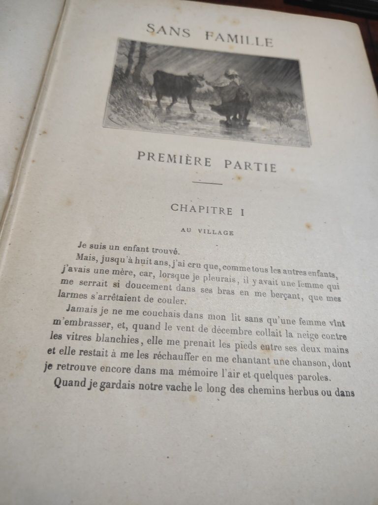 Sans Famille livro francês