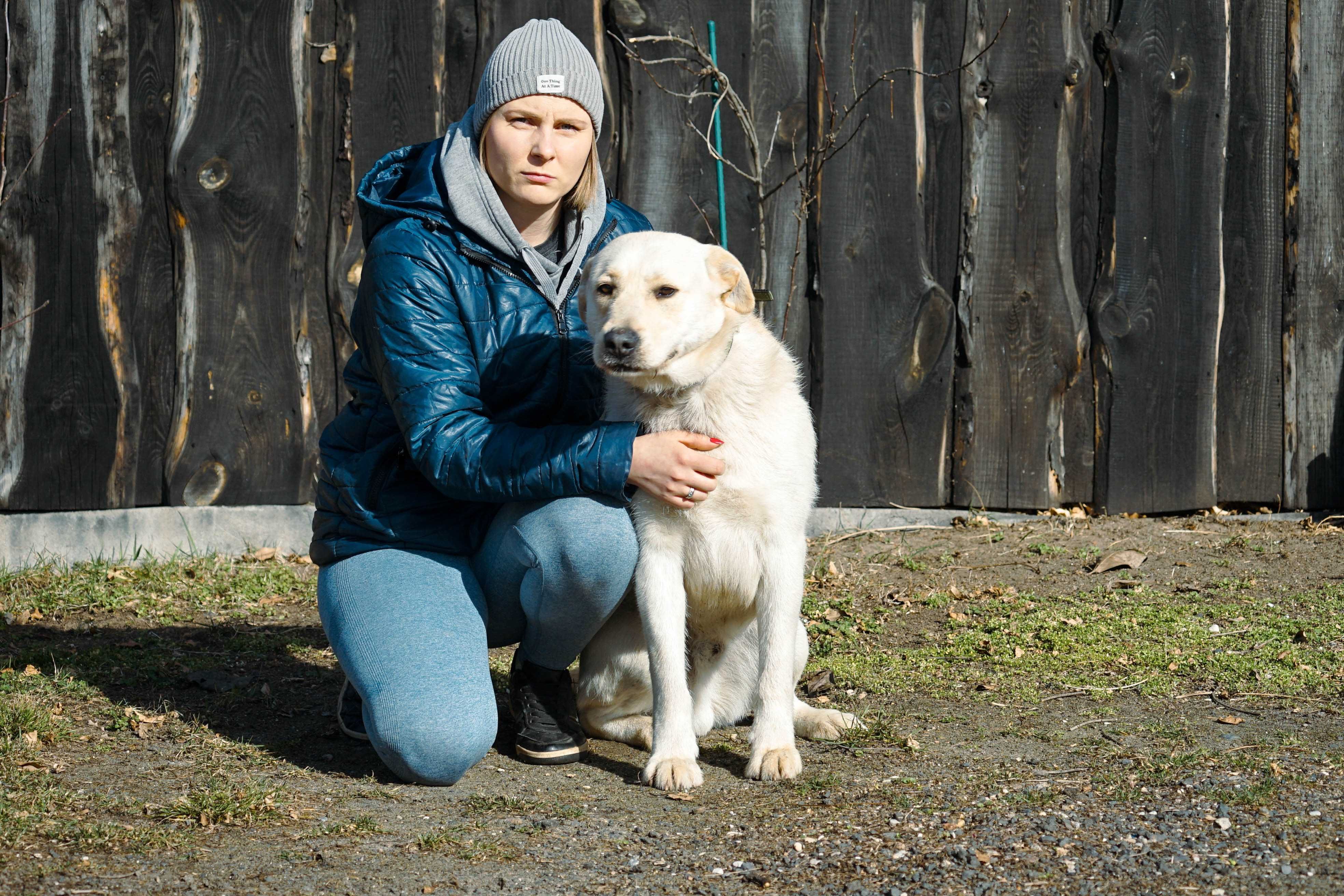 LESZEK - piękny pies w typie labrador