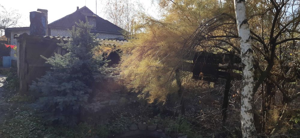 продаєм будинок із жилою літнєю кухнею