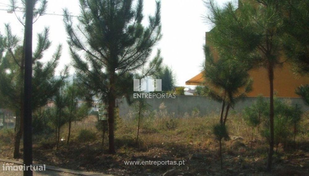 Venda de Lote, Beiriz, Póvoa de Varzim
