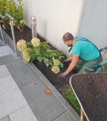 DOBRA ZIEMIA OGRODNICZA Glebogryzarka Projektowanie Ogrodów Trawnik