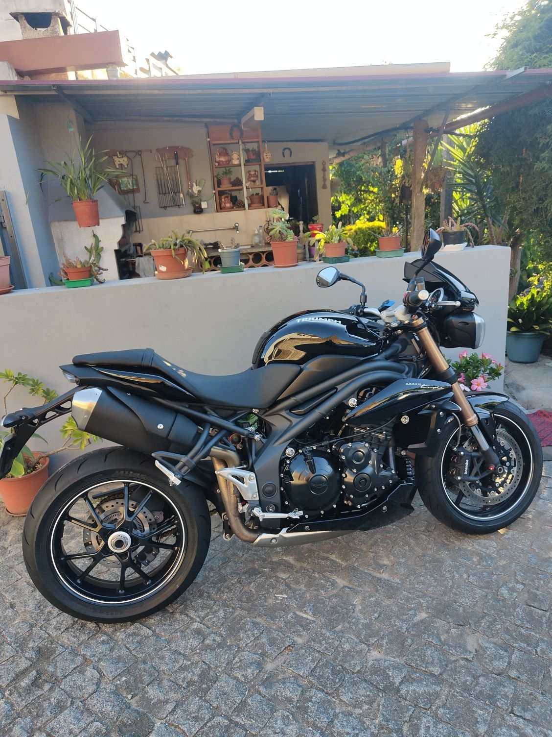 Triumph Speed Triple 1050 94