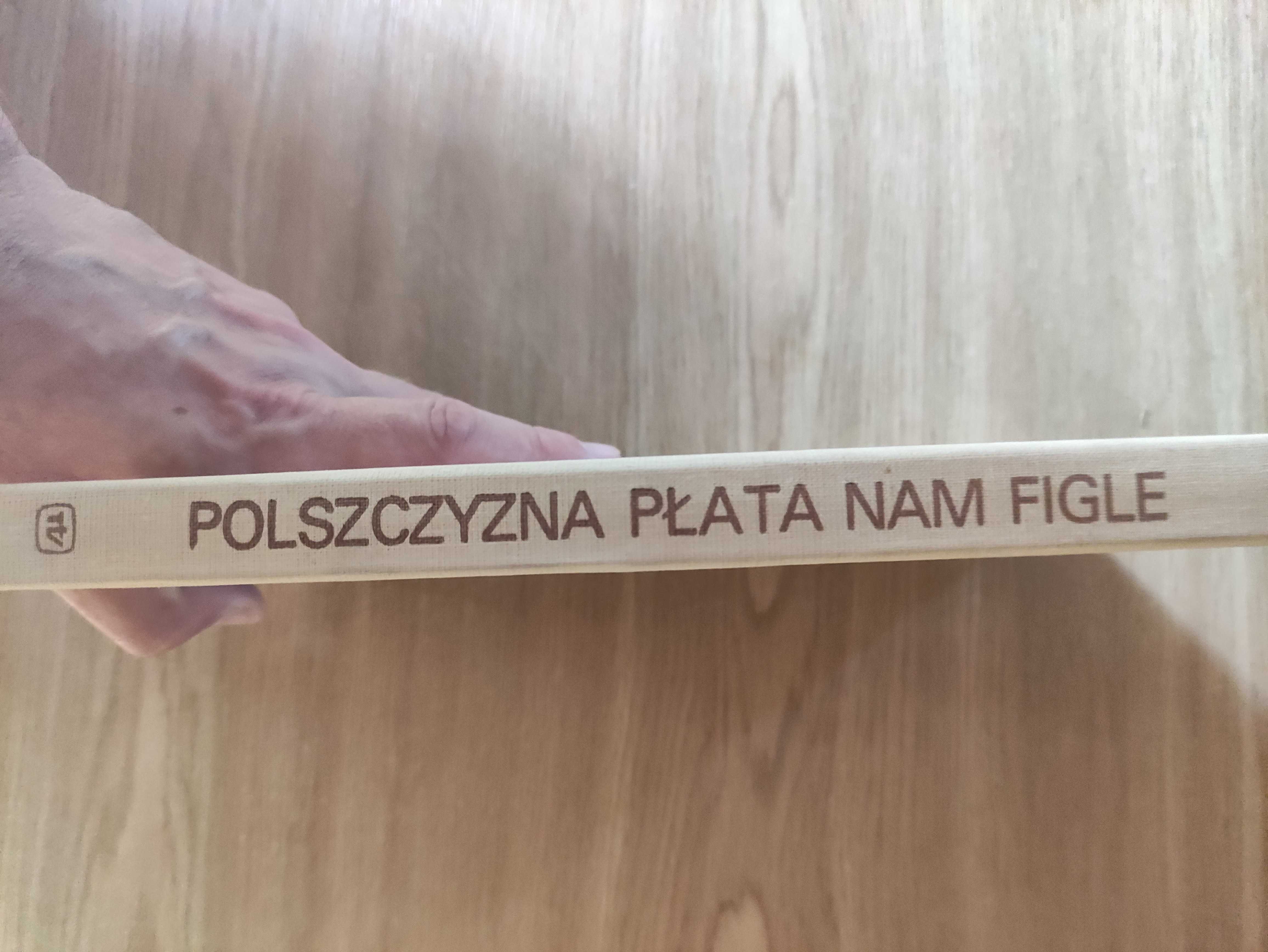 Polszczyzna płata nam figle - red. Jerzy Podracki