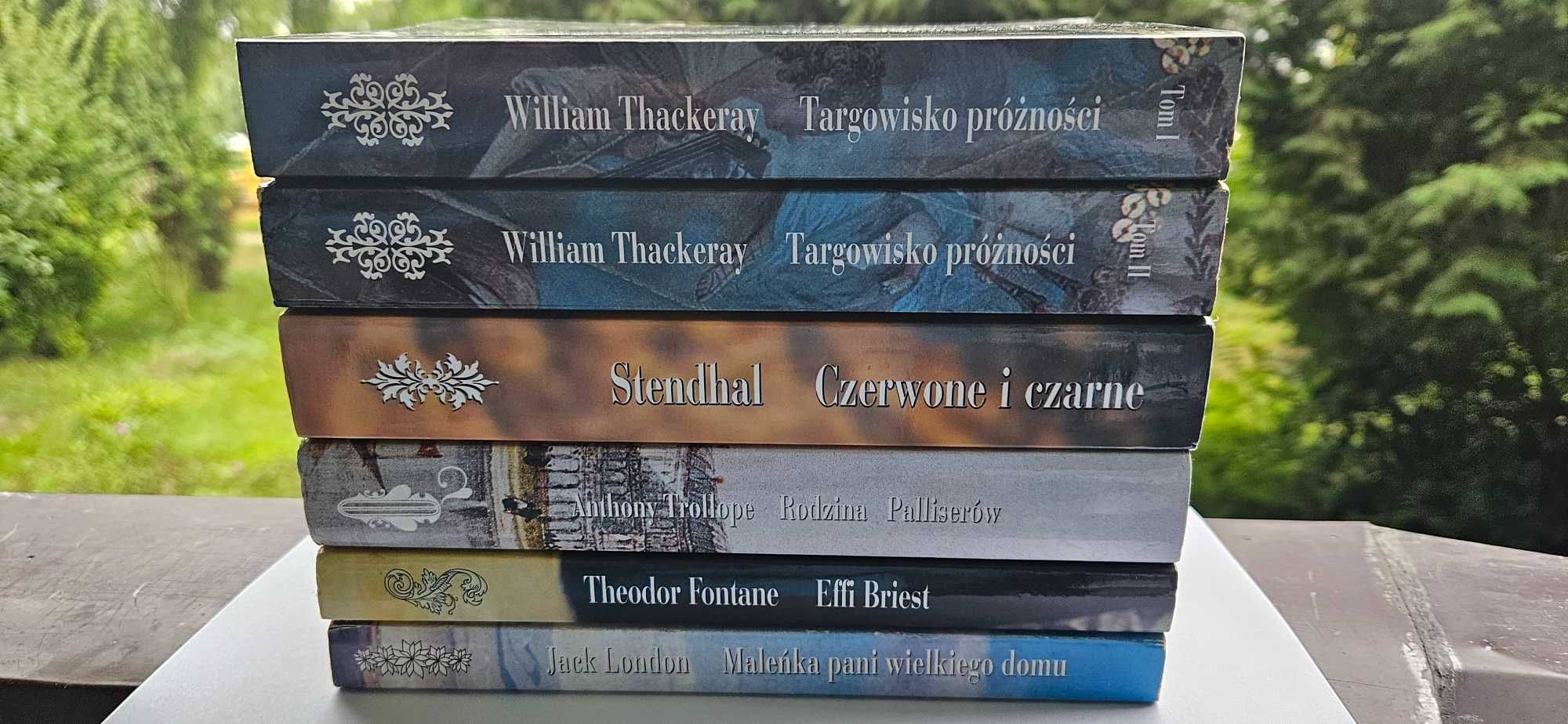 Literarura piękna pakiet książek- Prószyński i S-ka