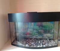 Красивый и качественный аквариум для рыбок 30 литров