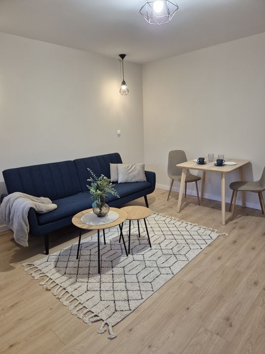 2 pokojowe mieszkanie do wynajęcia Sosnowiec Zagórze