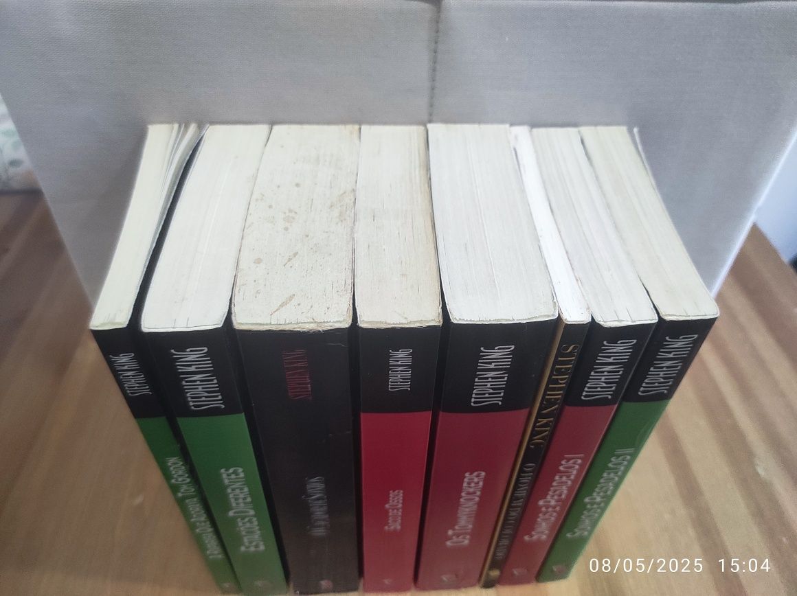 Stephen King Temas e Debates