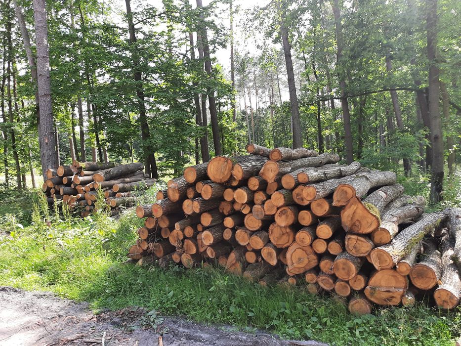 Drewno drzewo opałowe Sosna Dąb Brzoza Buk  opał