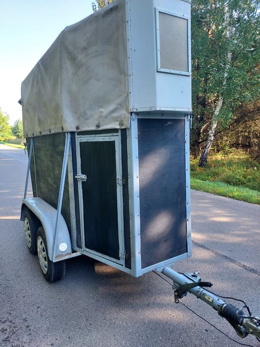 Klacz, ogier zamienię 1200 dmc