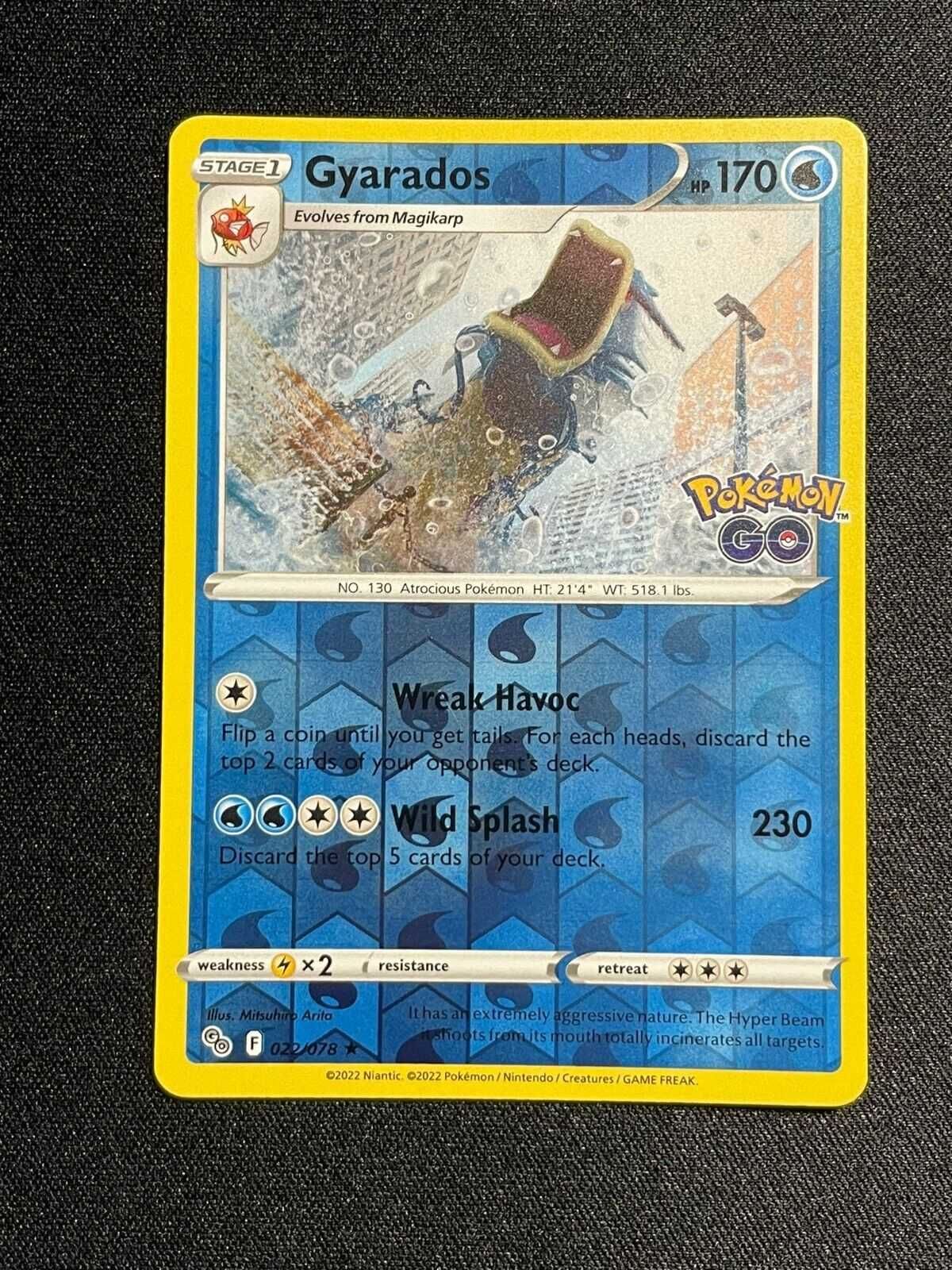 Carta Pokémon GO Gyarados 22/78