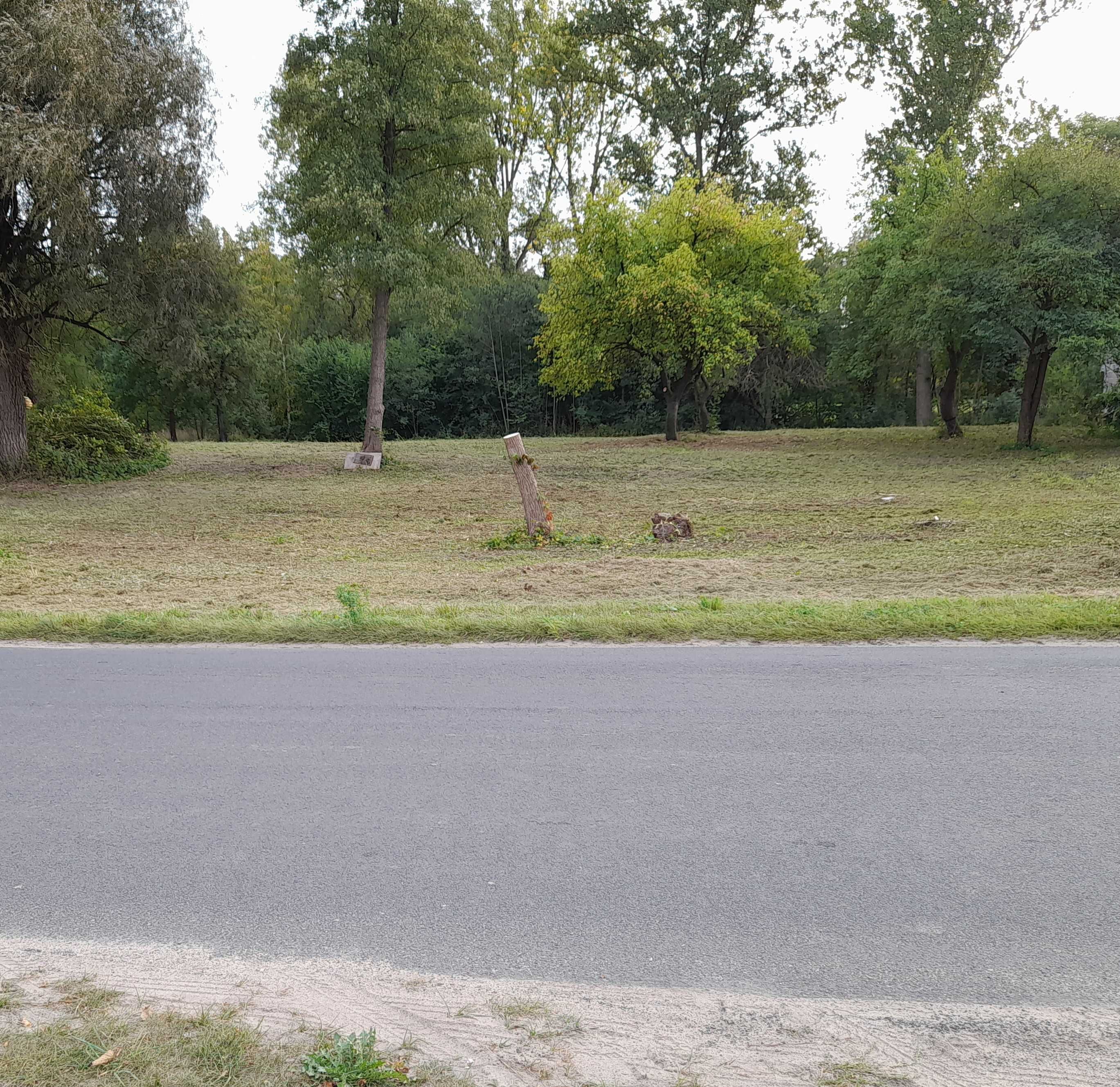 Sprzedam działkę w Zażdzierzu