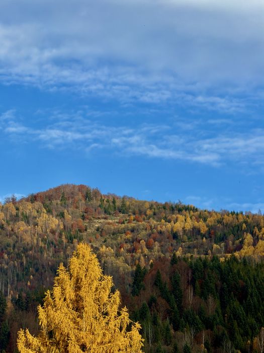 Оренда будинку у Славську Славське Славськ Тухля подобово котедж чан