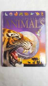Encyclopedia of Animals Encyklopedia zwierząt po angielsku Książka