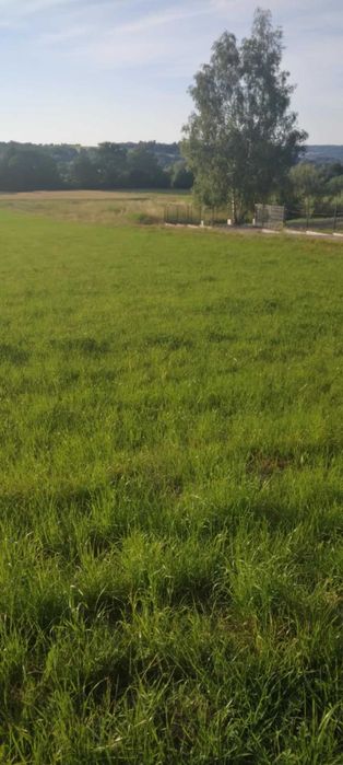 Działka budowlana 12ar Łapanów Boczów