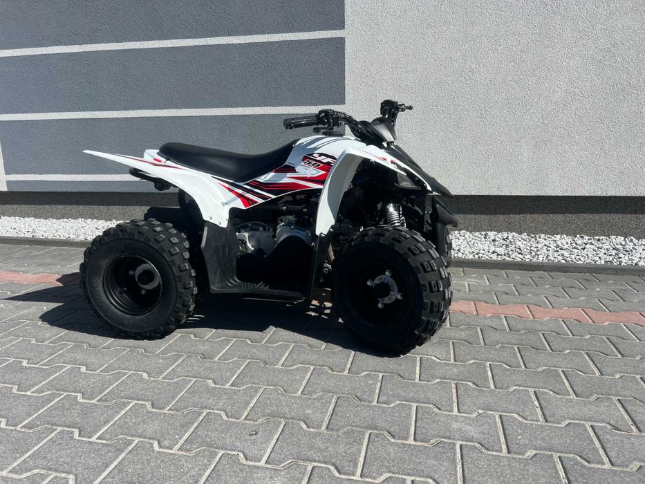 Yamaha Raptor 50cc