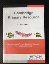 Cambridge Primary Resource - mult e maths