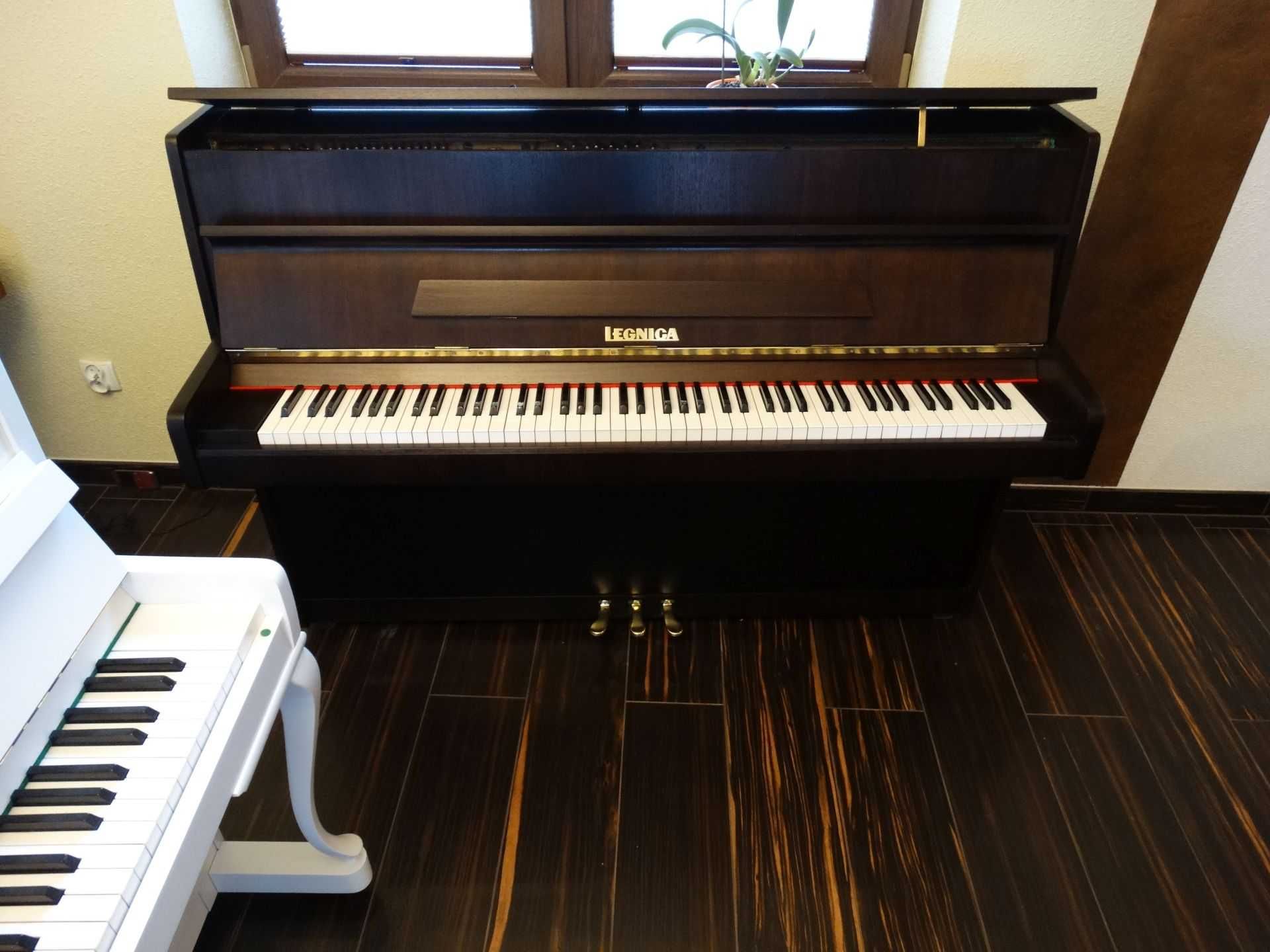 Pianino Legnica wenge bdb