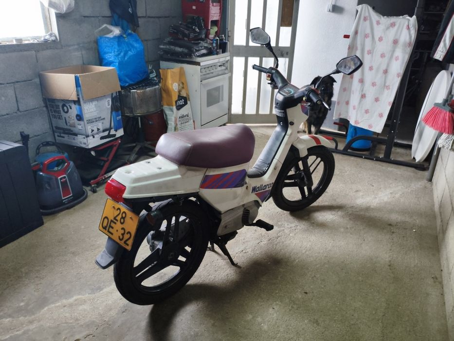 Honda wallaroo 50cc 2t