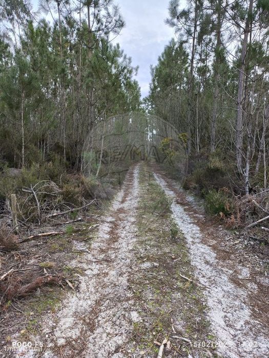 Terreno  para venda