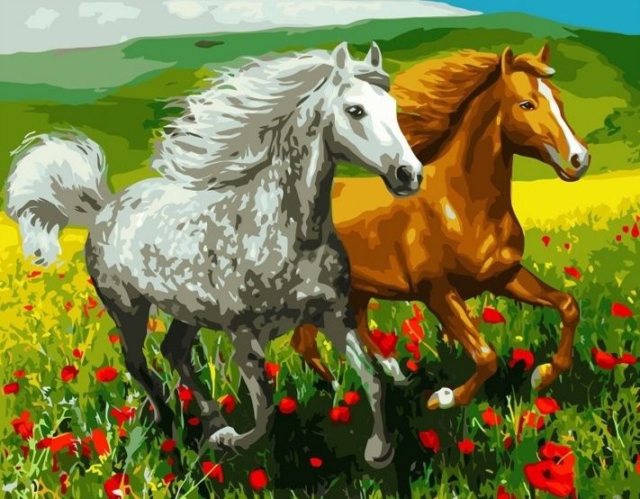 Obraz do Malowania po numerach Konie