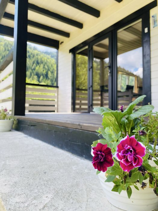 Житло у Карпатах, оренда, котедж