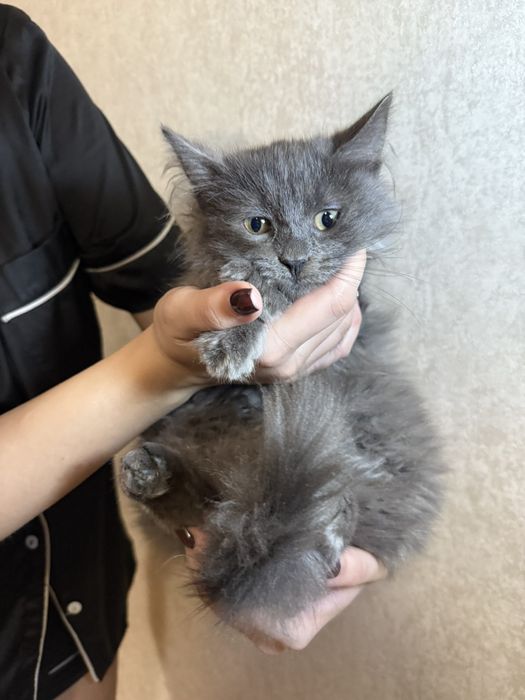 Два хлопчика шукають родину