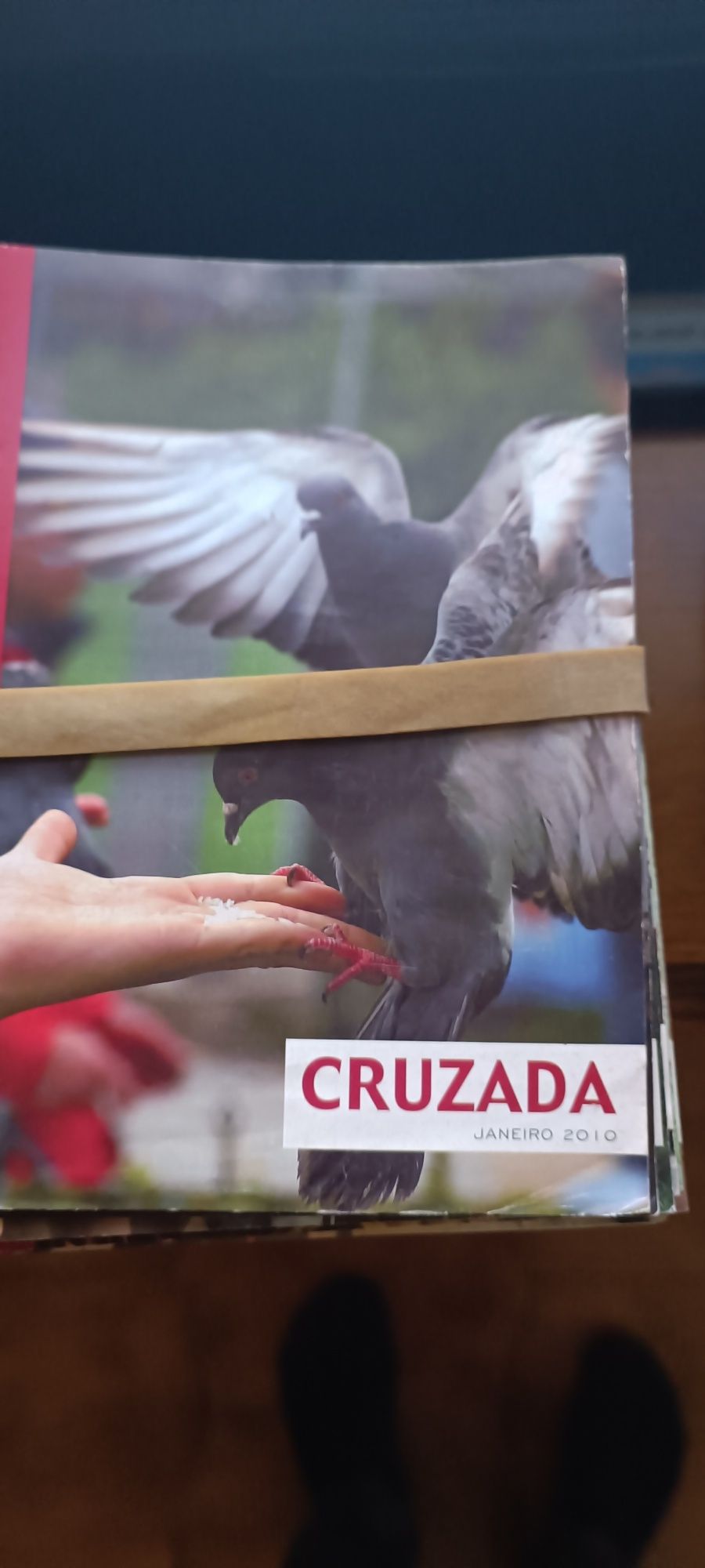 Revista religiosa cruzada 2005 a 2016