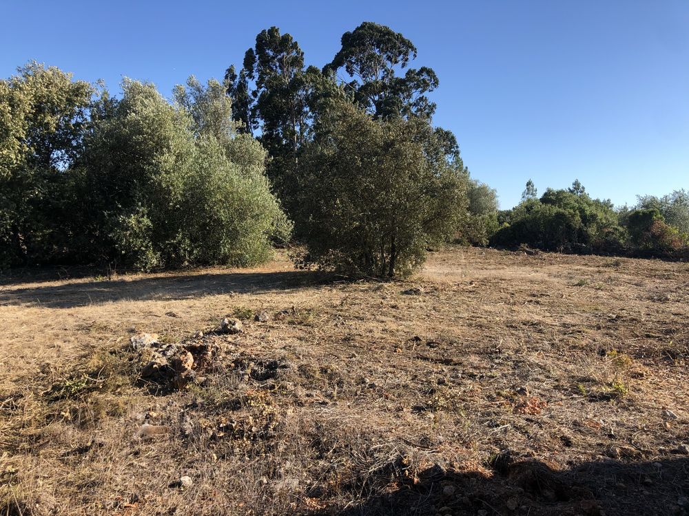 Quinta rustica 4320 m , com moardia t3 c permissao para finalizar obra