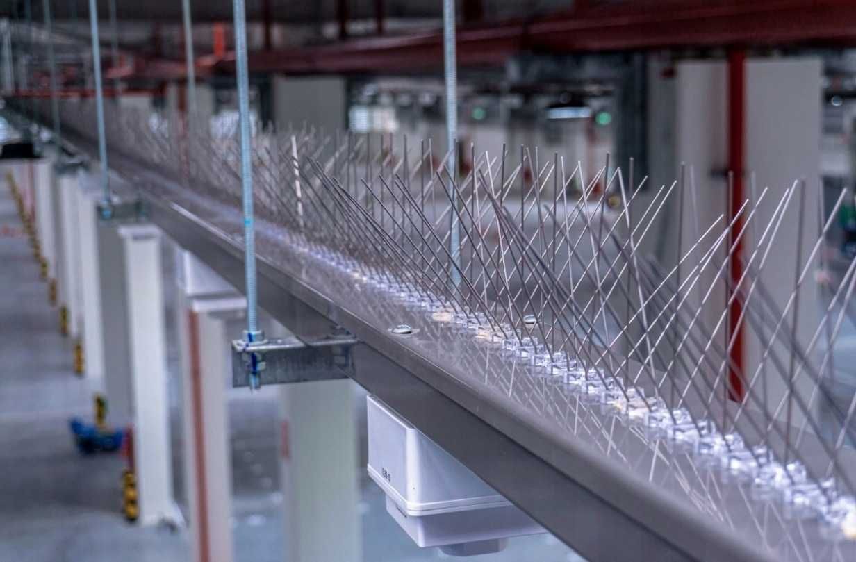 KOLCE na ptaki gołębie odstraszające 50 cm nierdzewne przeciw ptakom
