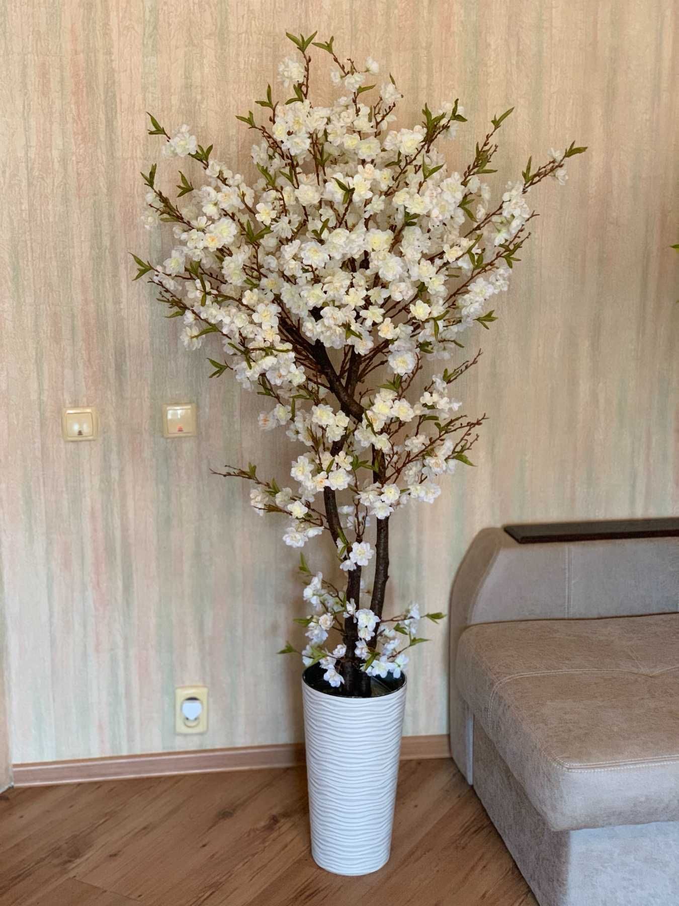 сакура яблуневий цвіт декоративні дерева
