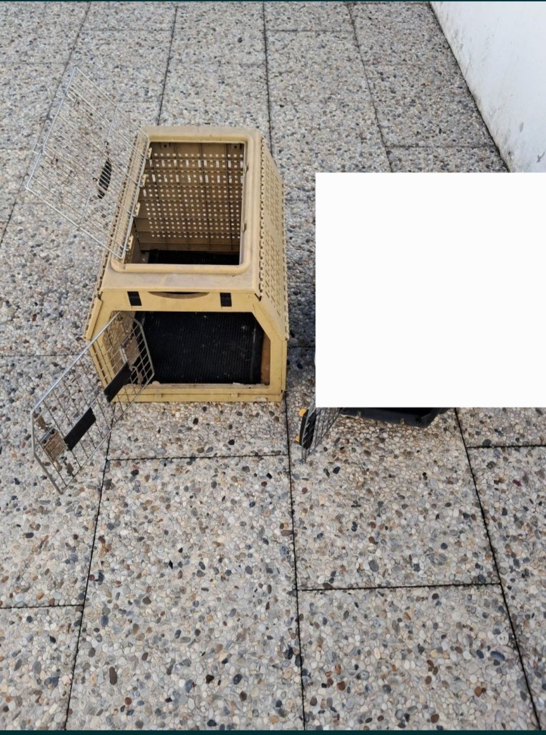 Caixas transportadoras para cães de pequeno porte ou gato