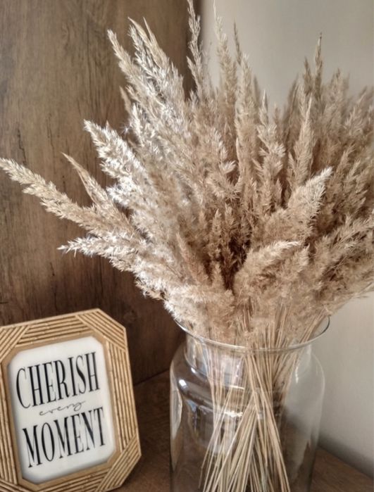 Suszona trawa trzcina boho pampasowa