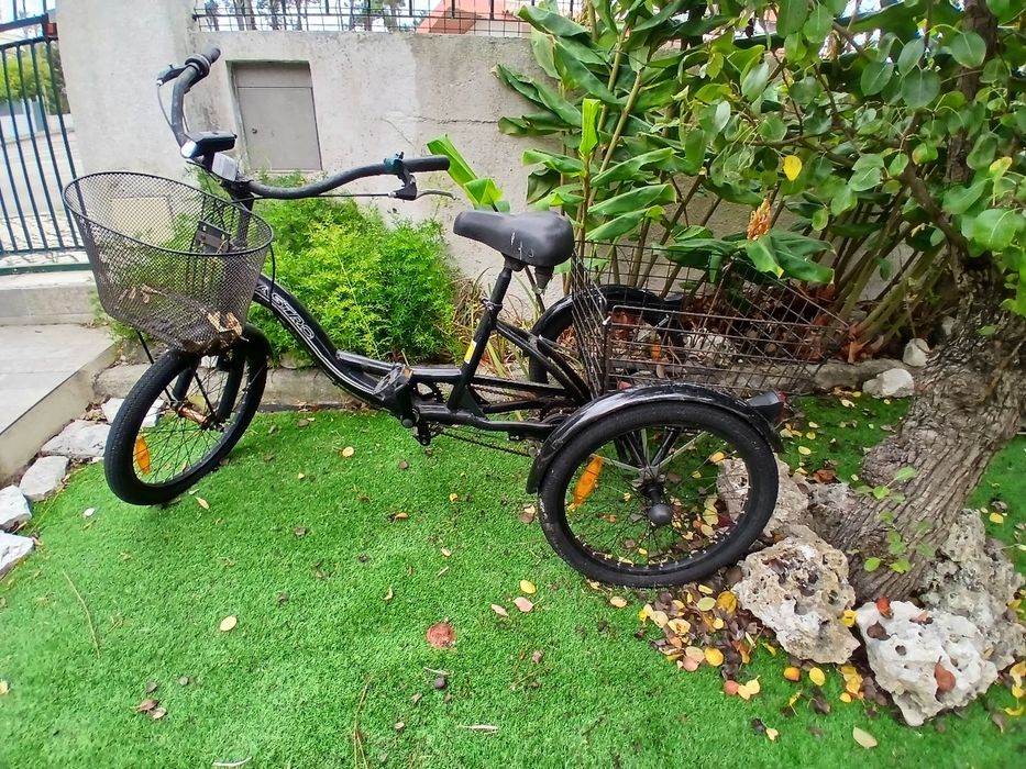Bicicleta 3 rodas adulto com 2 cestos