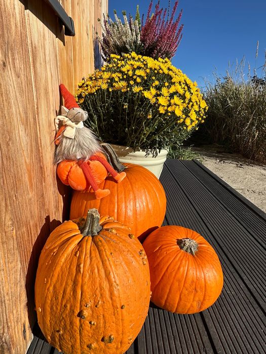 Domek w górach Tatry, Bukowina Zakopane wolny 07.11-11.11 Sylwester