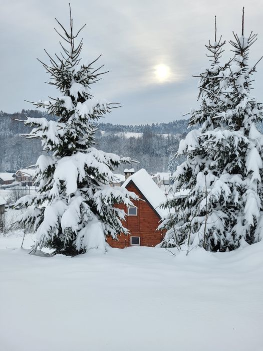 Sielanka-Domki Całoroczne z Kominkiem Jacuzzi Sauna Bezmiechowa