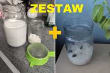 Kryształki japońskie + grzybek tybetański | ZESTAW alkalizujący detoks