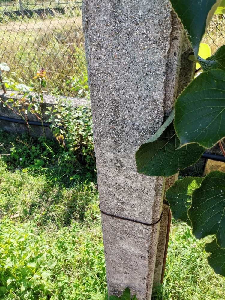 Esteios/postes em cimento para vinha ou vedação