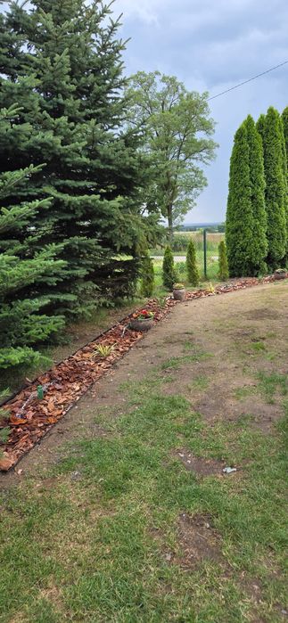 Przydomowa Oczyszczalnia Ścieków  Biologiczna  Bezzapachowa Serwis  HA