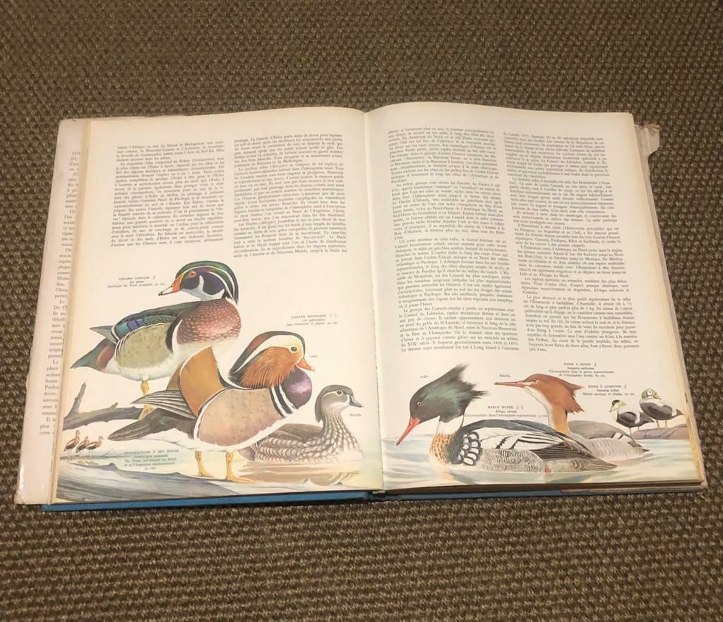 Livro anos edição anos 60 de pássaros