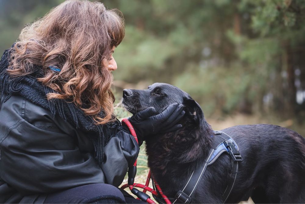 Tobi pilnie szuka domu. Zima coraz blizej