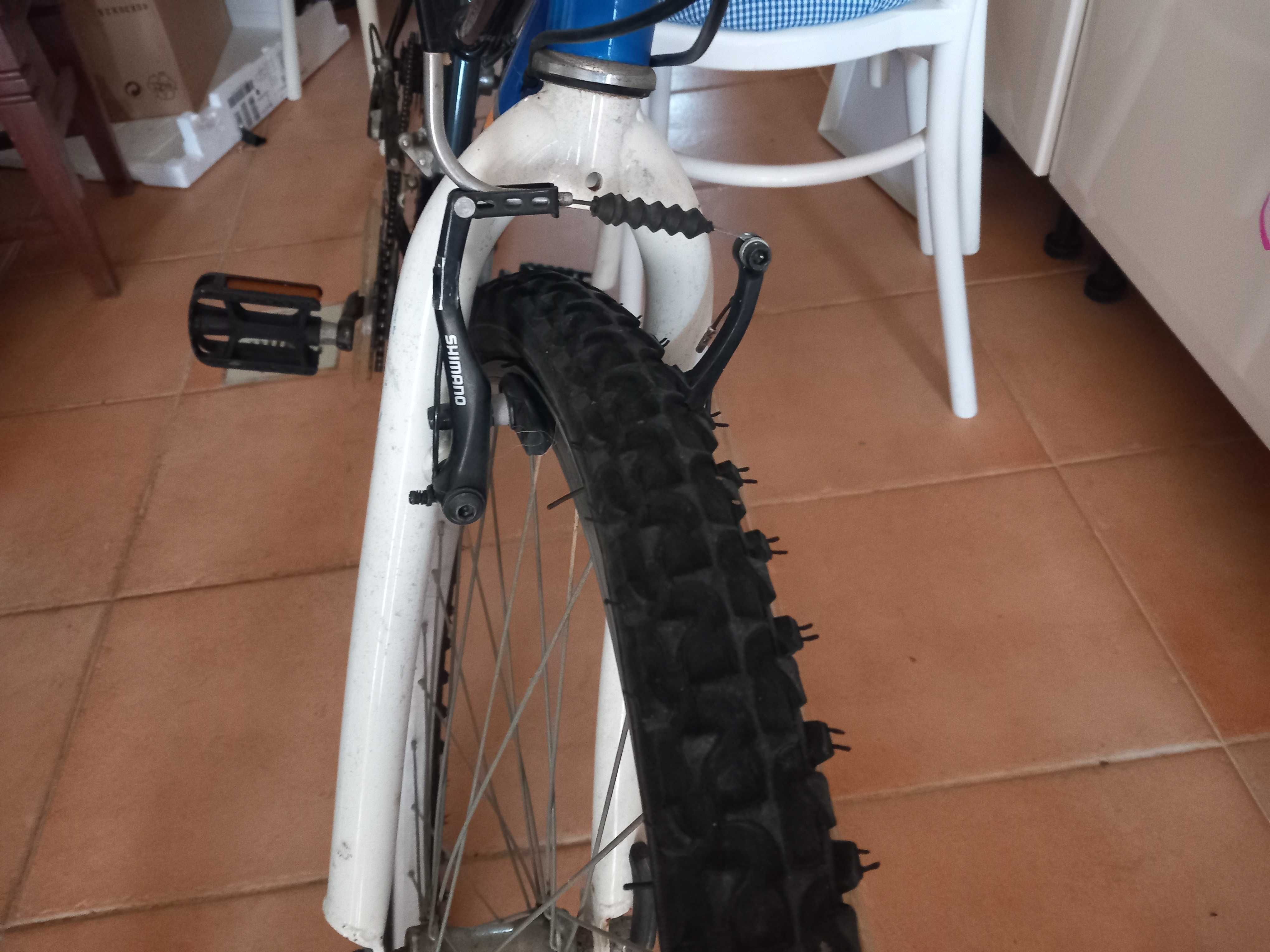 Bicicleta Nature team 200