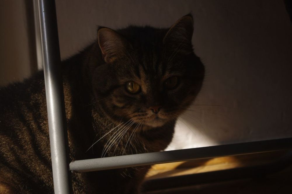 Дзеркальна камера Pentax k-x 18-55