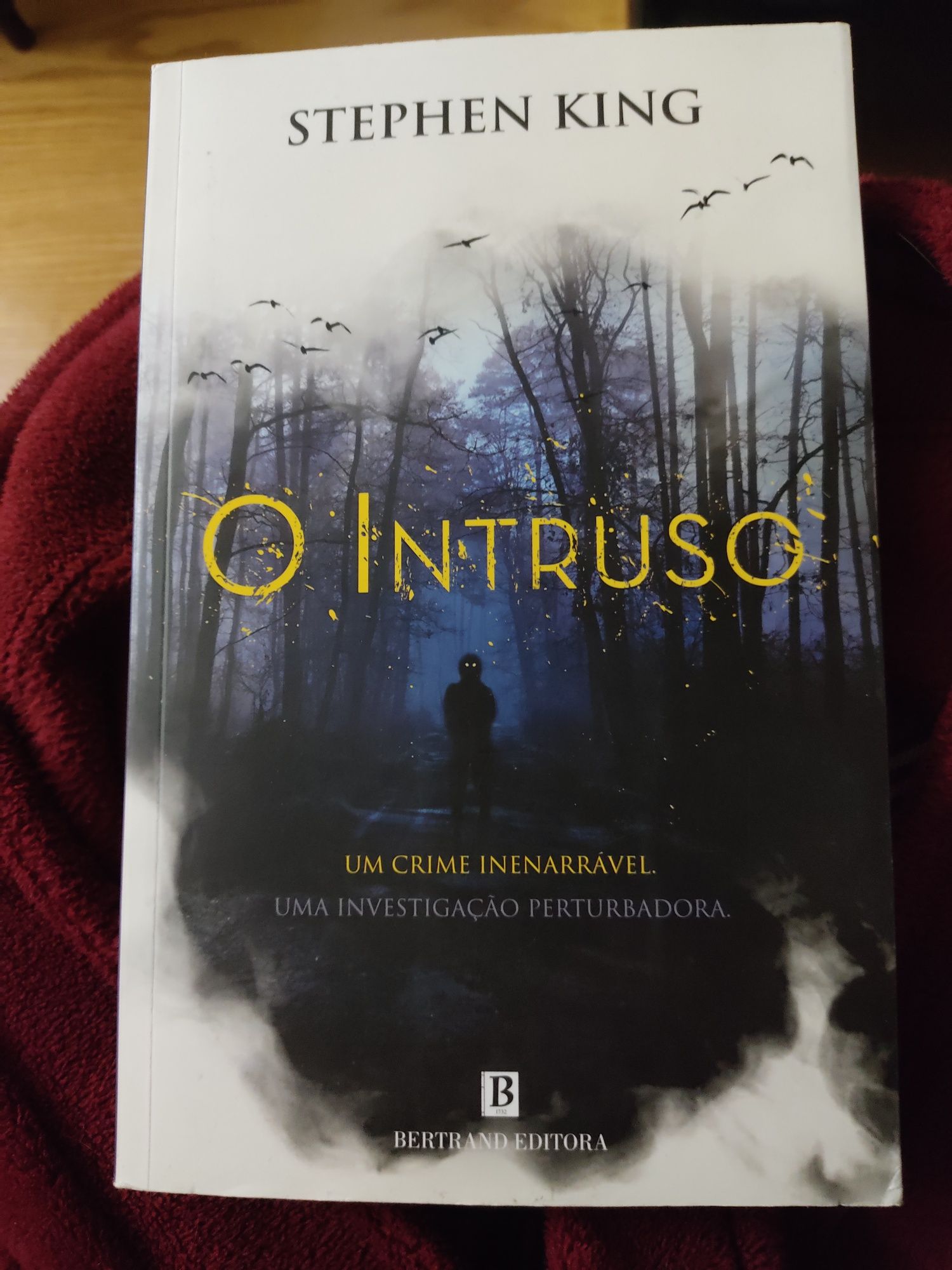 Livro em estado novo, O Intruso de Stephen King