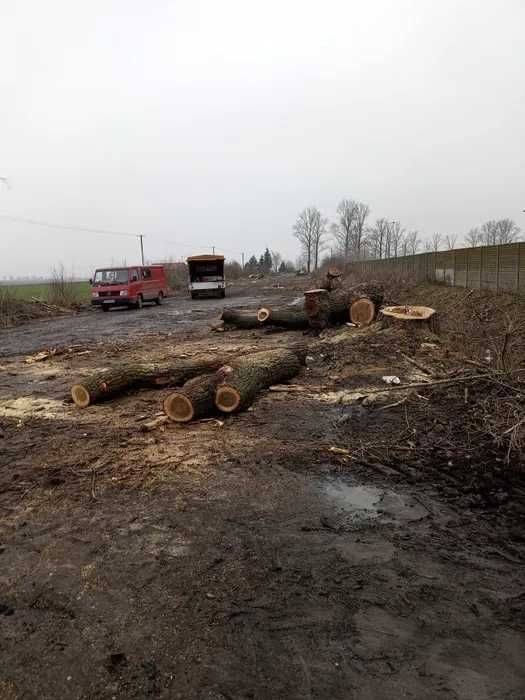 Wycinka / Czyszczenie działek / Mulczowanie / Rekultywacja / Wgłębny