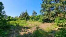 Działka letniskowa 687 m² w Demlinie – 200 m od jeziora!