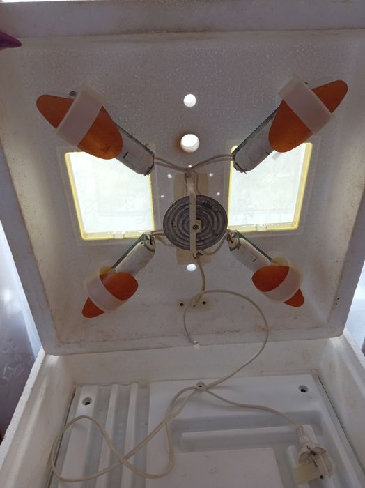 Инкубатор квочка