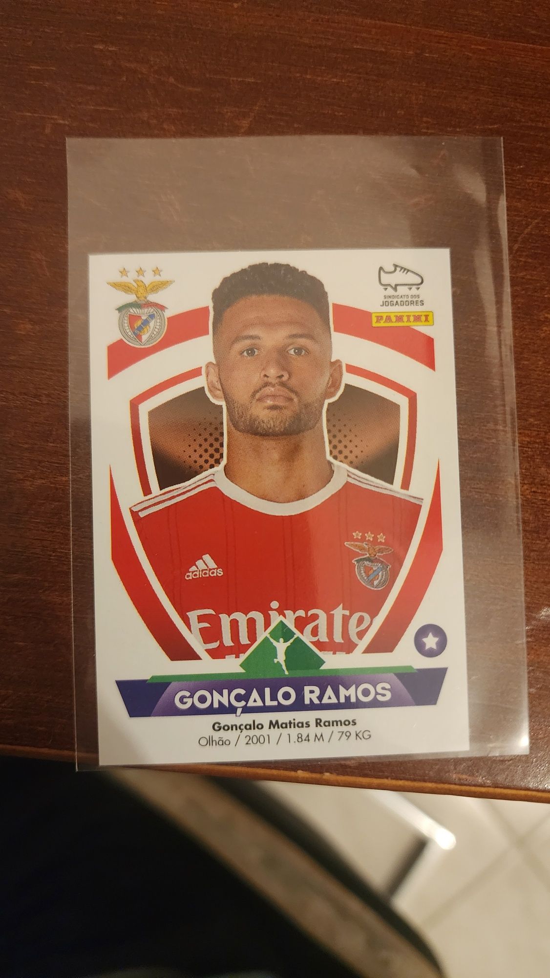 Carta goncalo ramos benfica