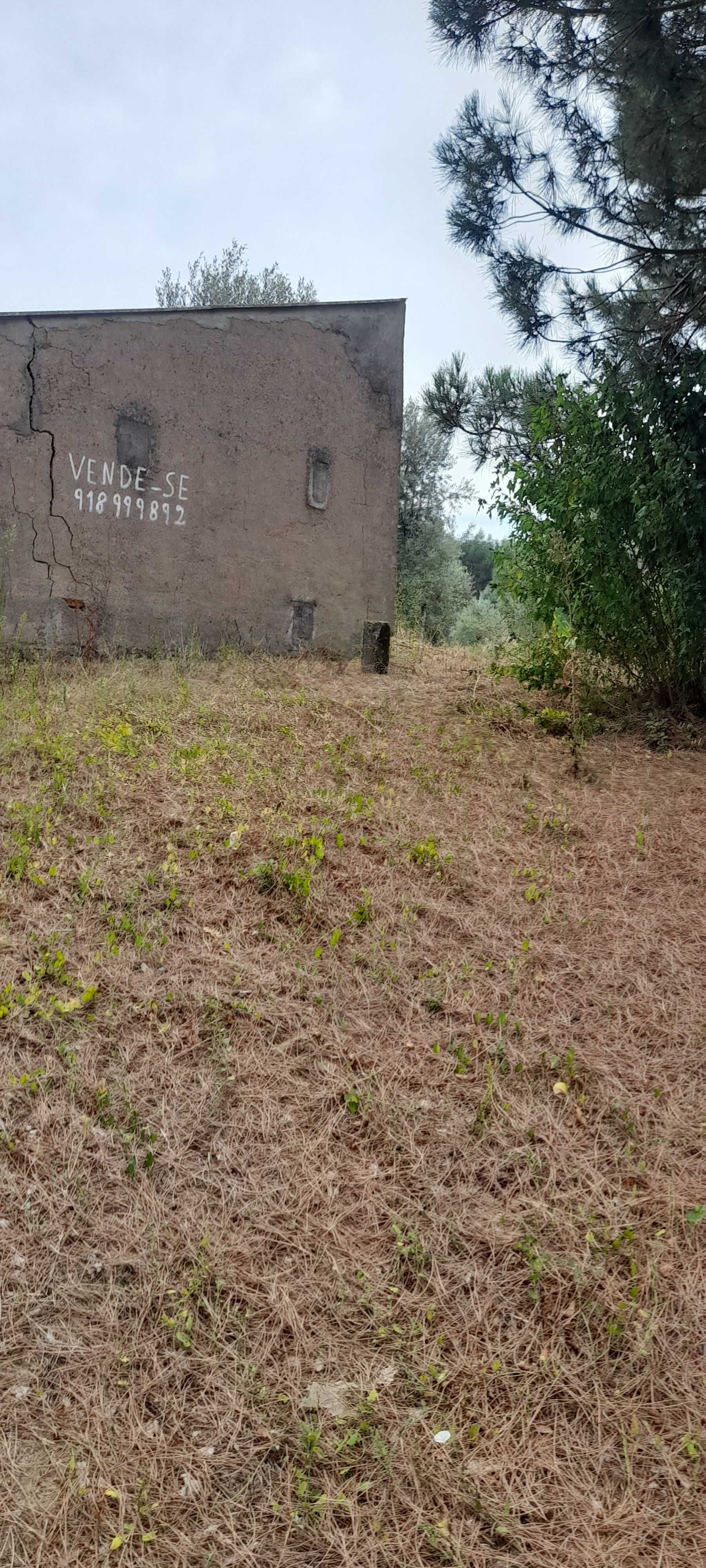 Terreno com casa para restaurar